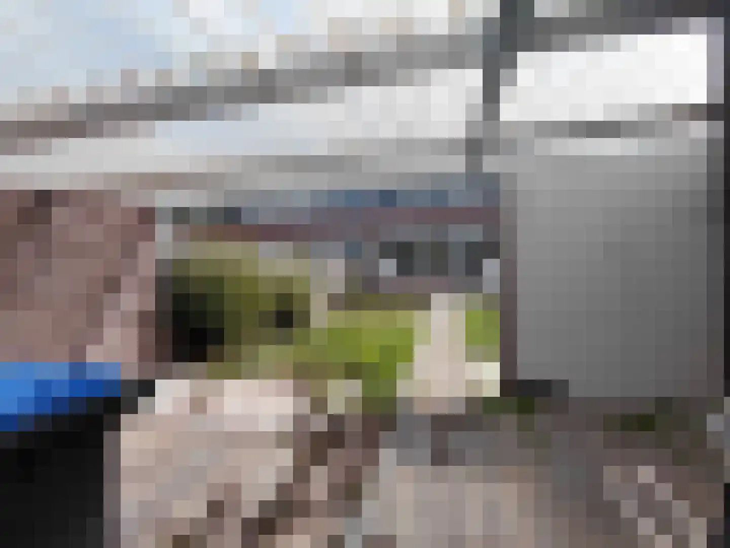 De Morinel 368 Dronten thumbnail 27