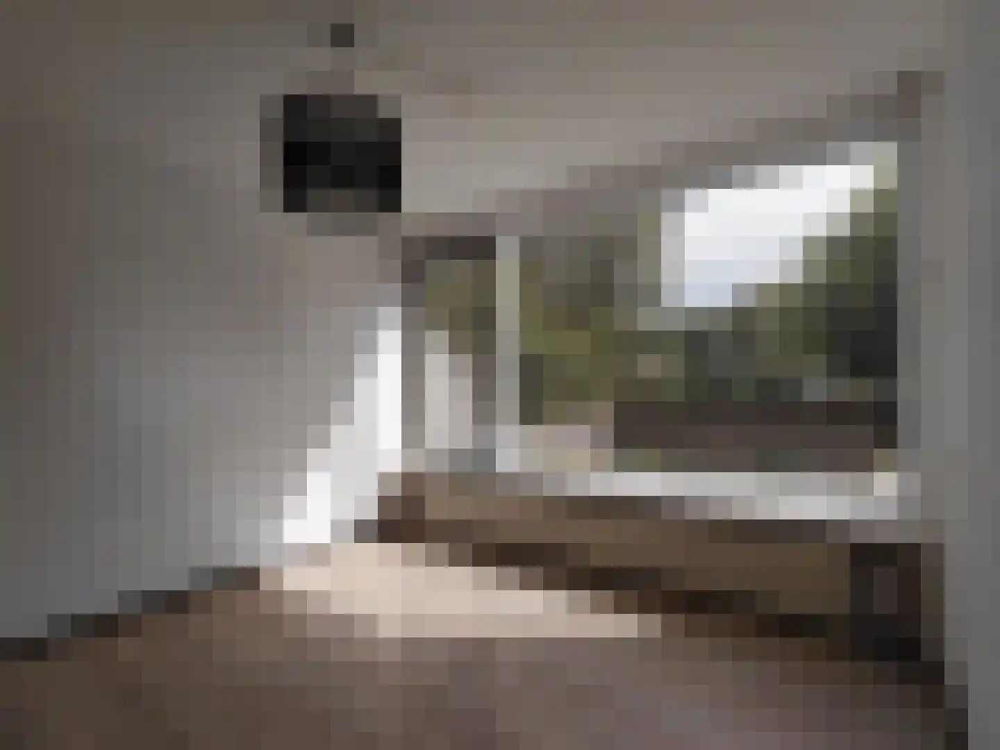 De Morinel 368 Dronten thumbnail 4