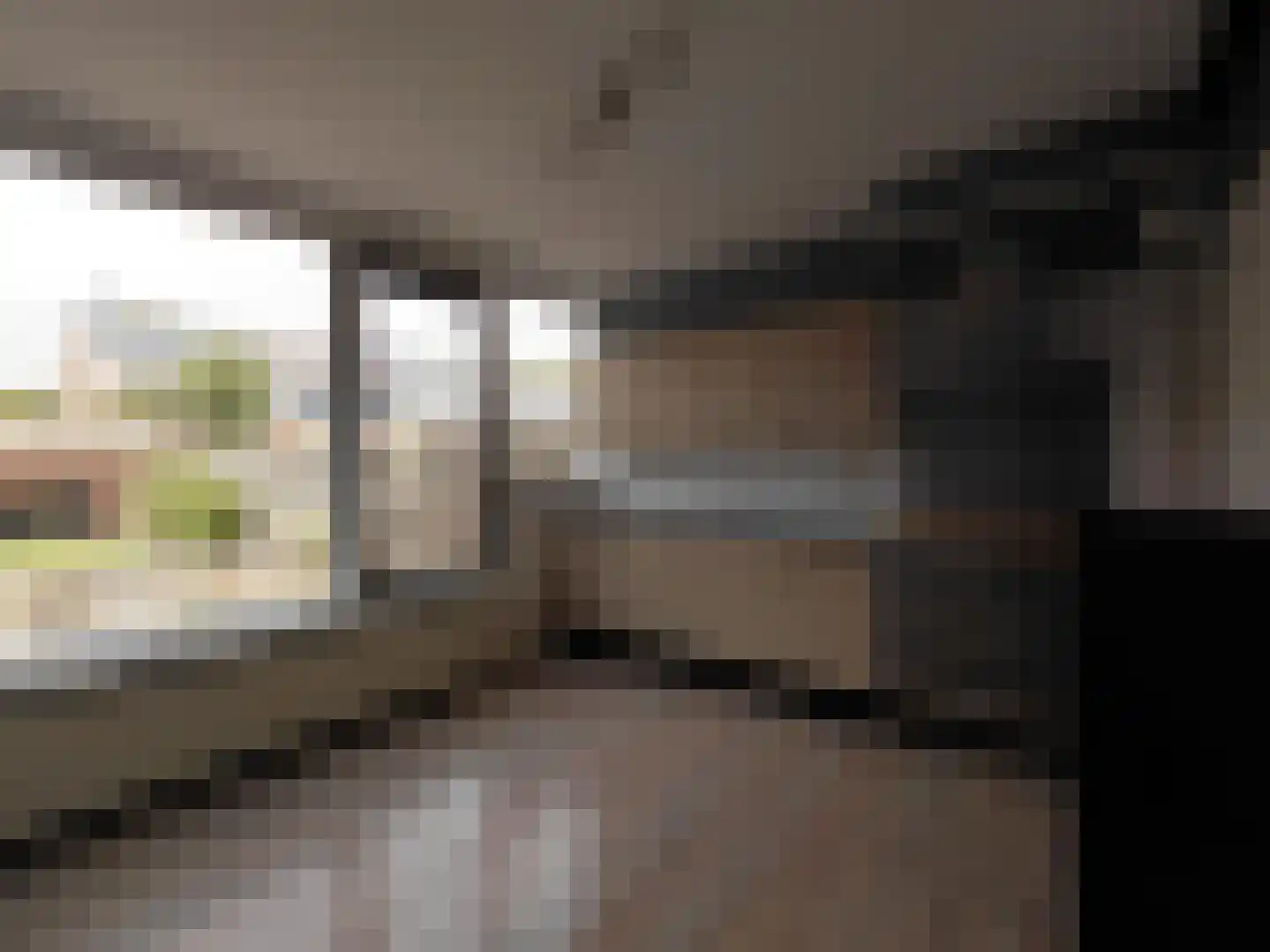 De Morinel 368 Dronten thumbnail 8
