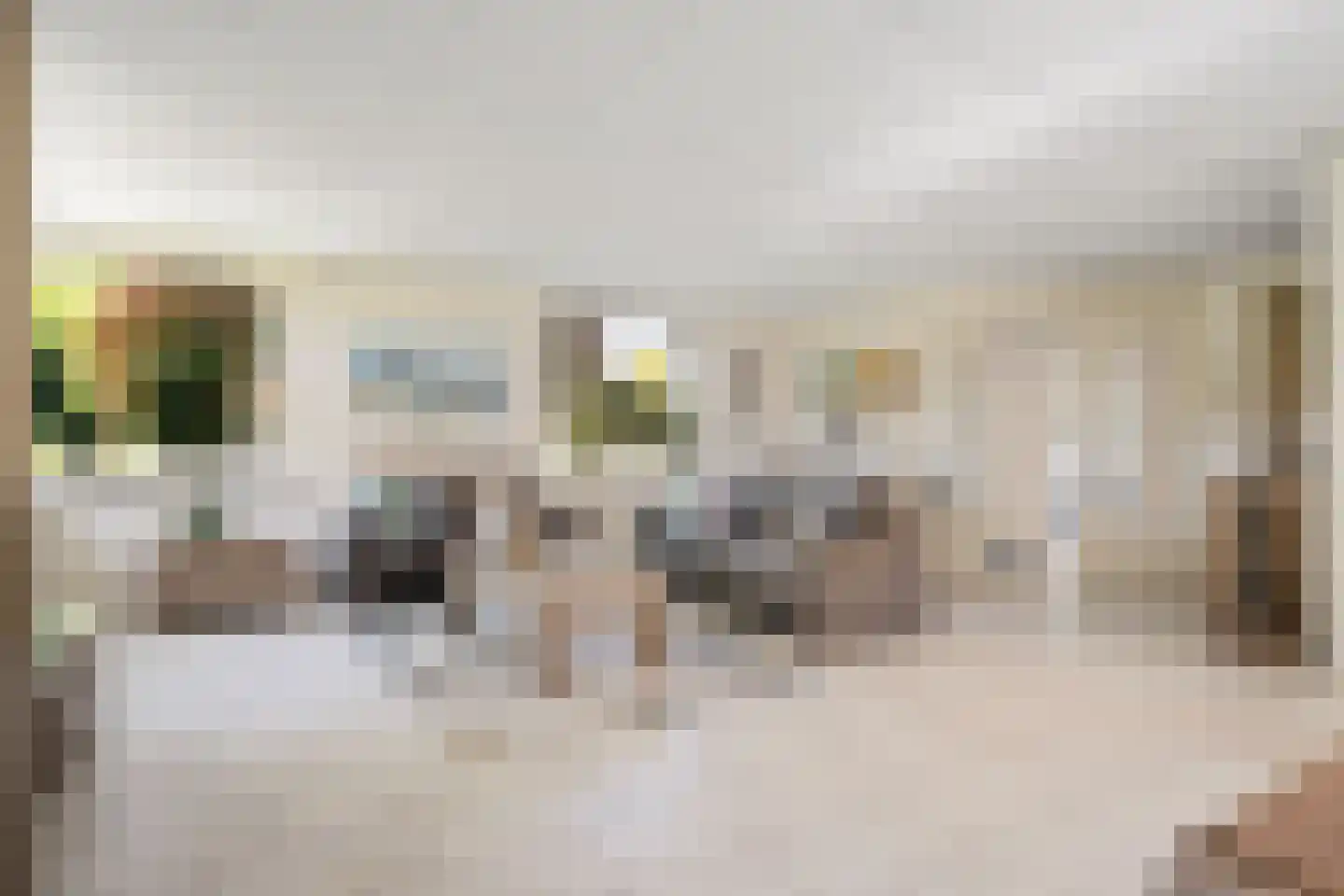 De Morinel 37 Dronten thumbnail 14