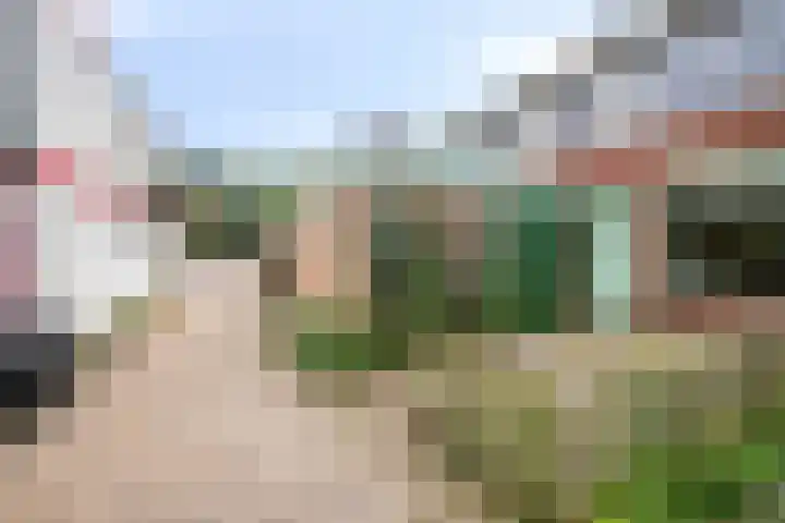De Morinel 402 Dronten thumbnail 12