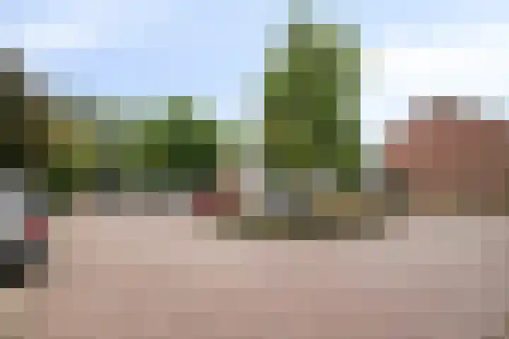 De Morinel 402 Dronten thumbnail 13