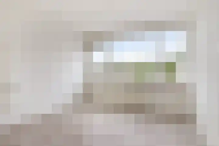 De Morinel 402 Dronten thumbnail 15