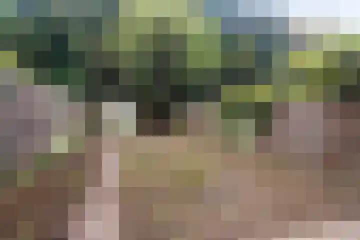 De Morinel 402 Dronten thumbnail 27