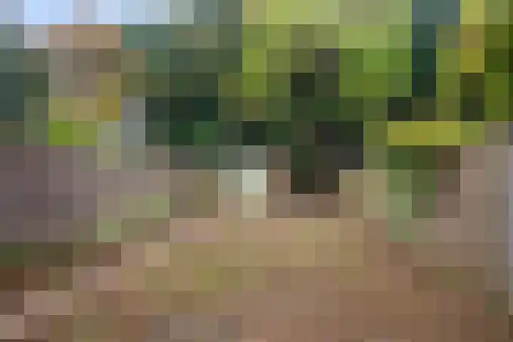 De Morinel 402 Dronten thumbnail 28