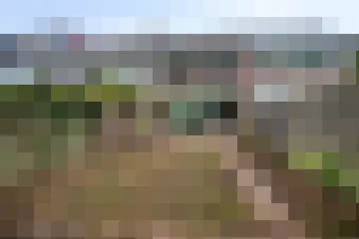 De Morinel 402 Dronten thumbnail 29