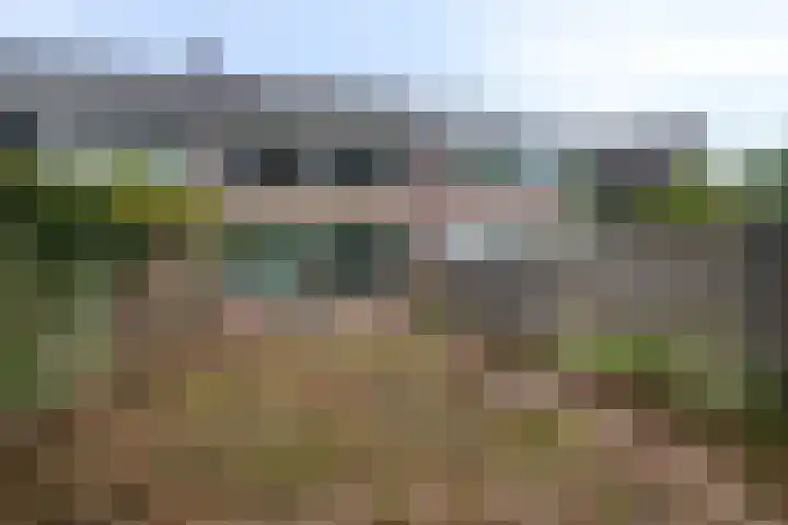 De Morinel 402 Dronten thumbnail 30