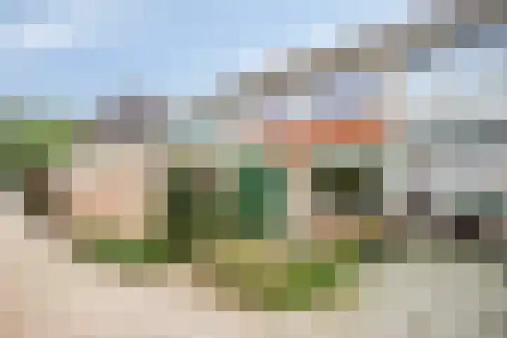 De Morinel 402 Dronten thumbnail 31