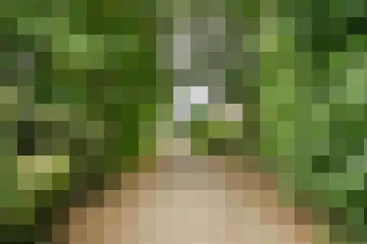 De Morinel 402 Dronten thumbnail 33
