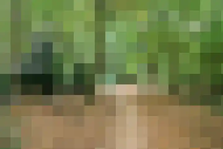De Morinel 402 Dronten thumbnail 34