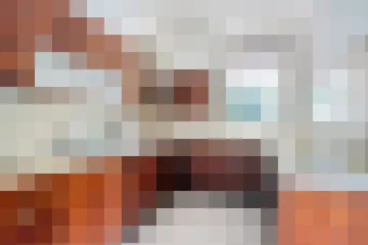 De Morinel 402 Dronten thumbnail 4