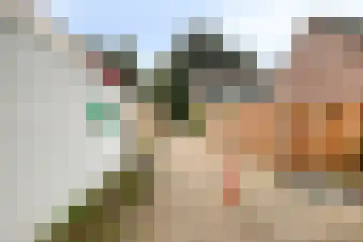 De Morinel 402 Dronten thumbnail 8