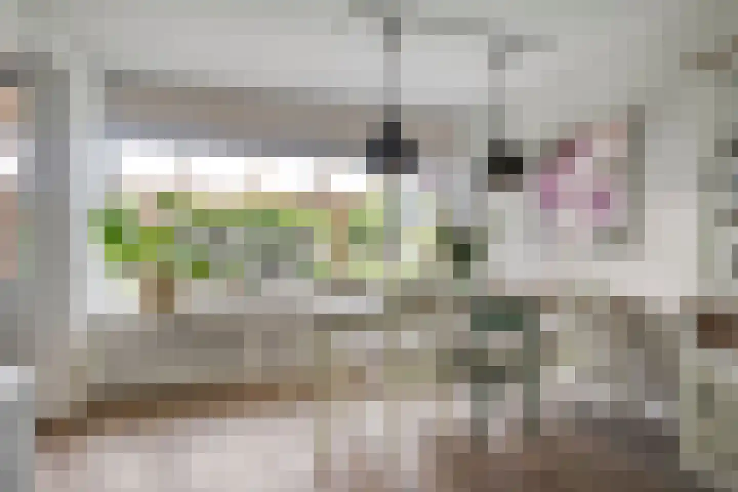 De Morinel 62 Dronten thumbnail 15
