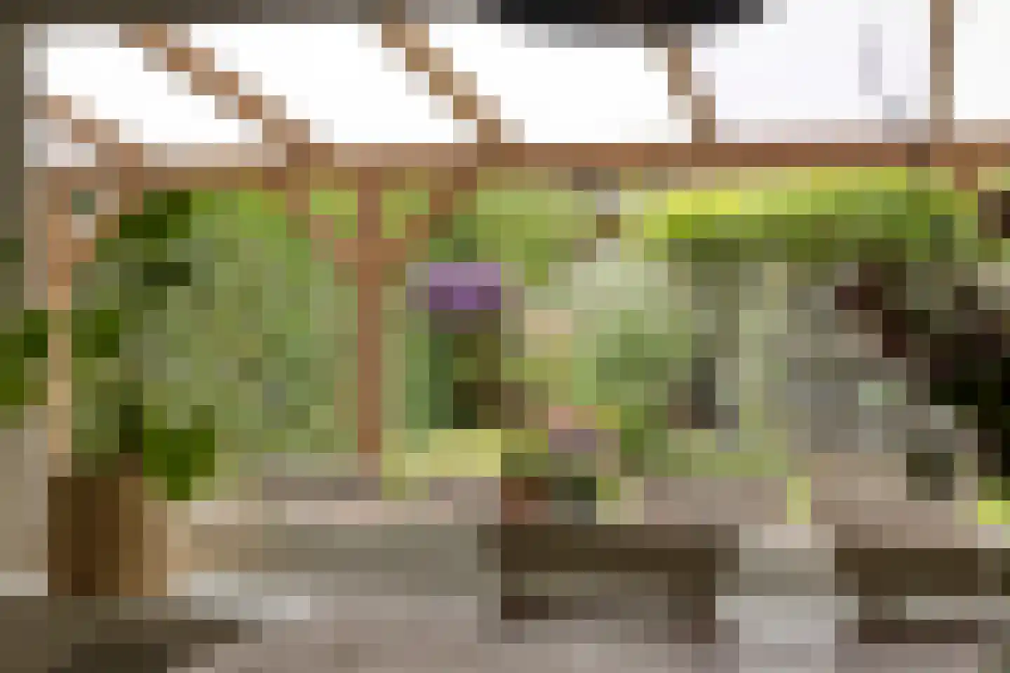 De Morinel 62 Dronten thumbnail 17