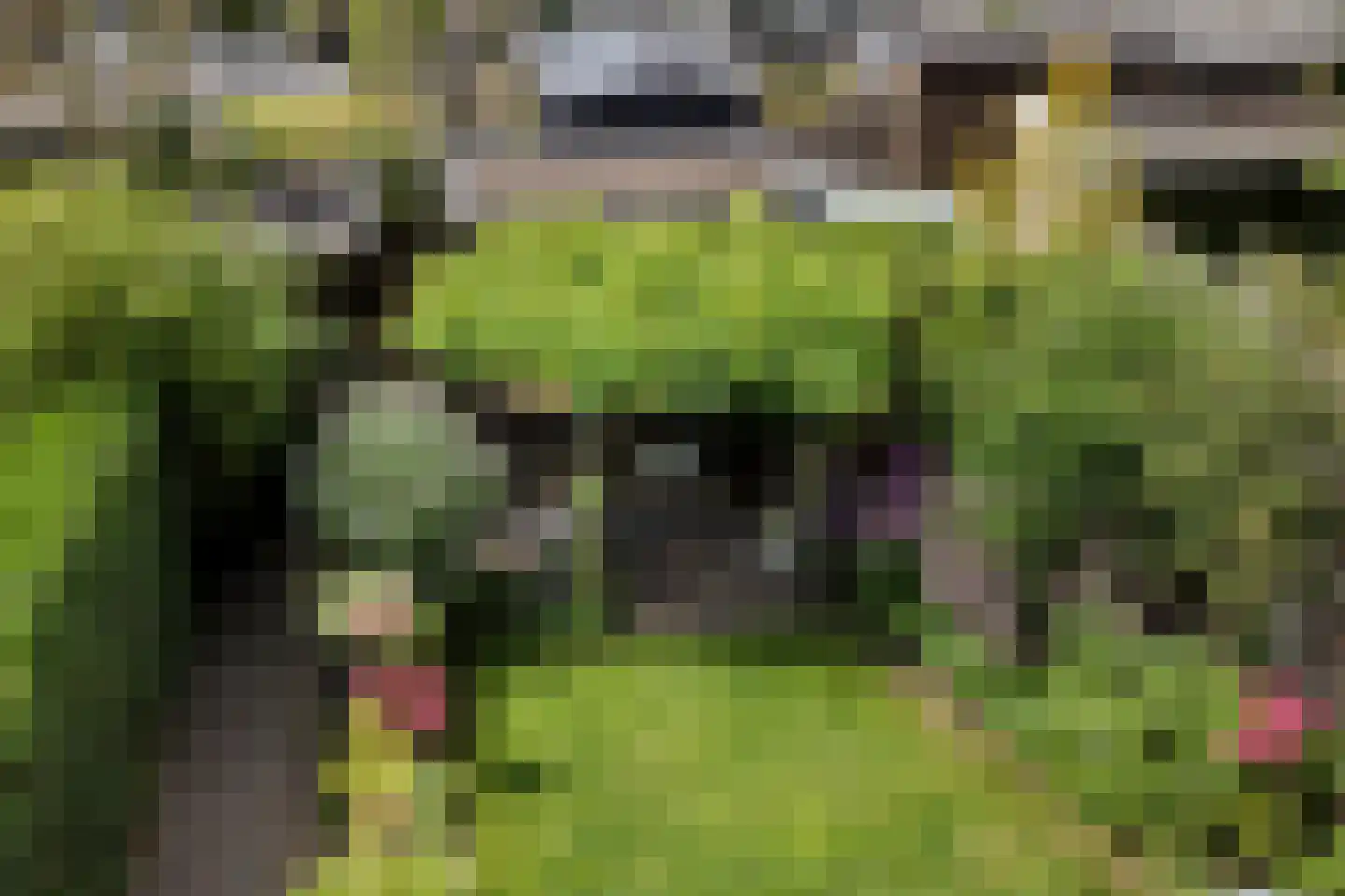 De Morinel 62 Dronten thumbnail 39