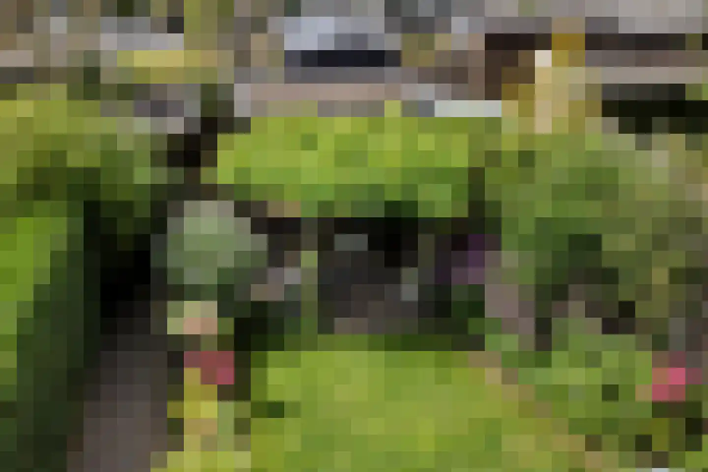 De Morinel 62 Dronten thumbnail 4