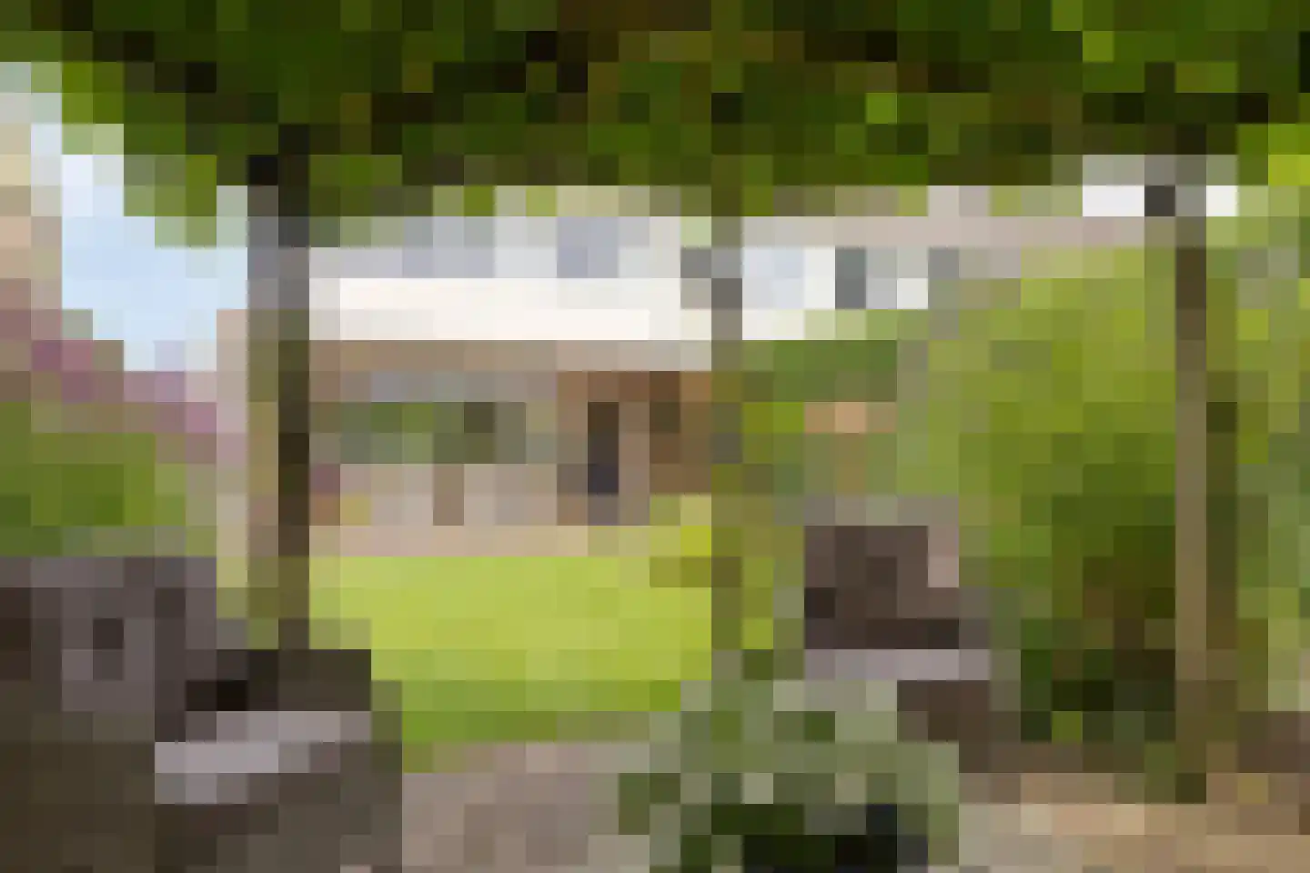 De Morinel 62 Dronten thumbnail 46