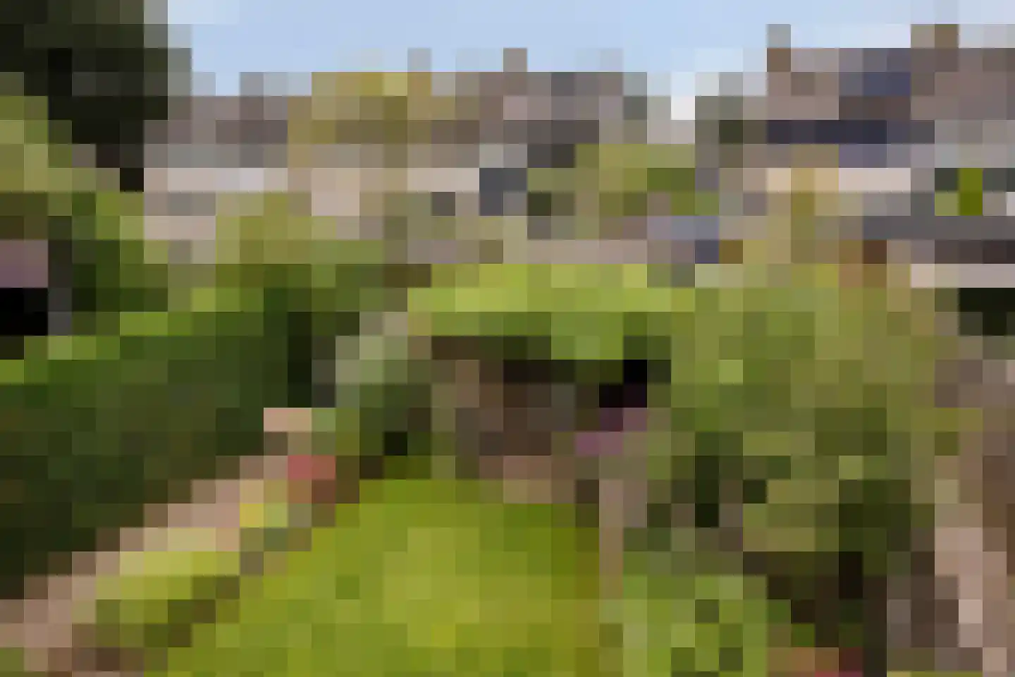 De Morinel 62 Dronten thumbnail 51