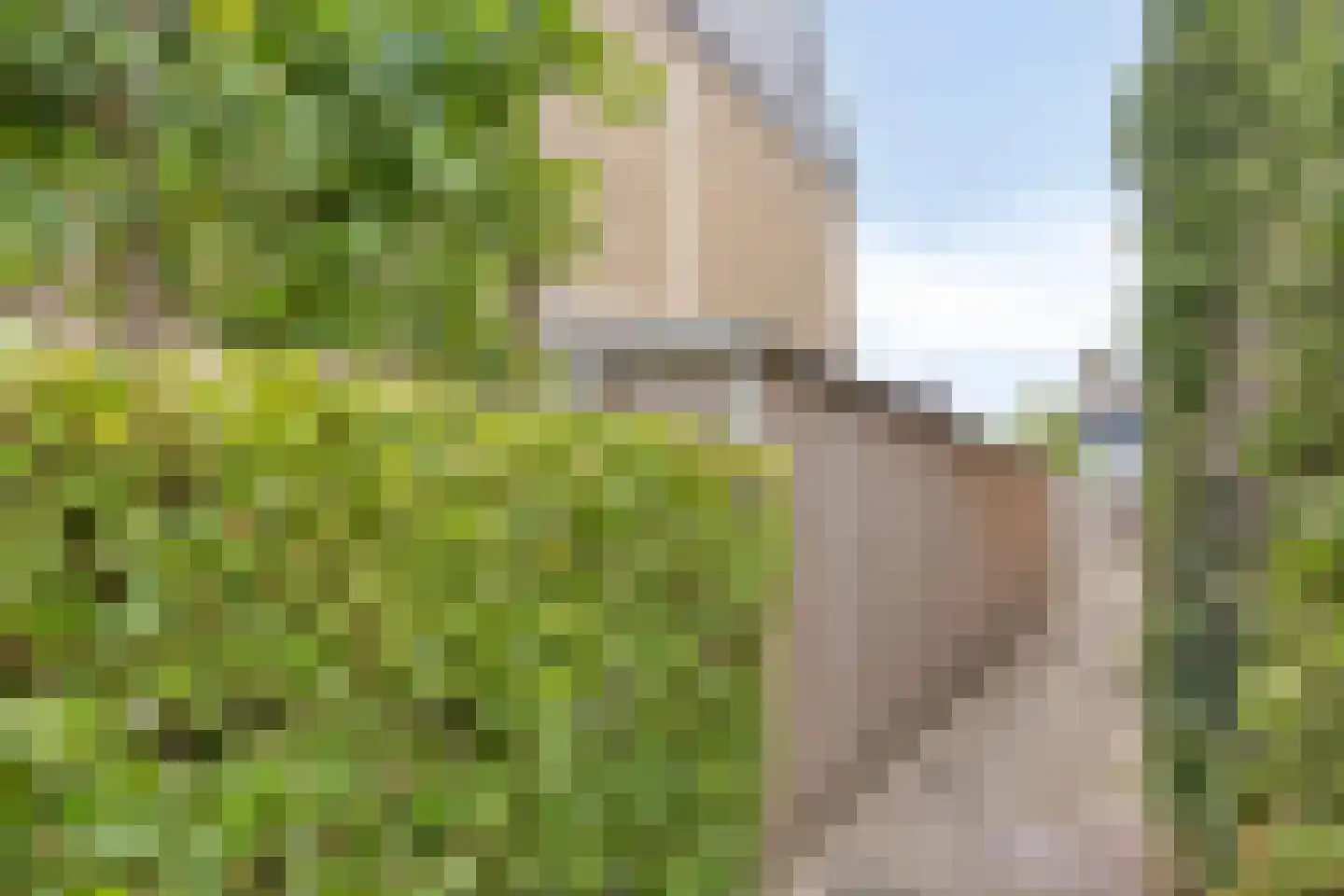 De Morinel 62 Dronten thumbnail 58
