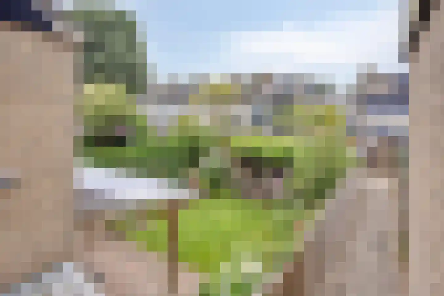 De Morinel 62 Dronten thumbnail 59