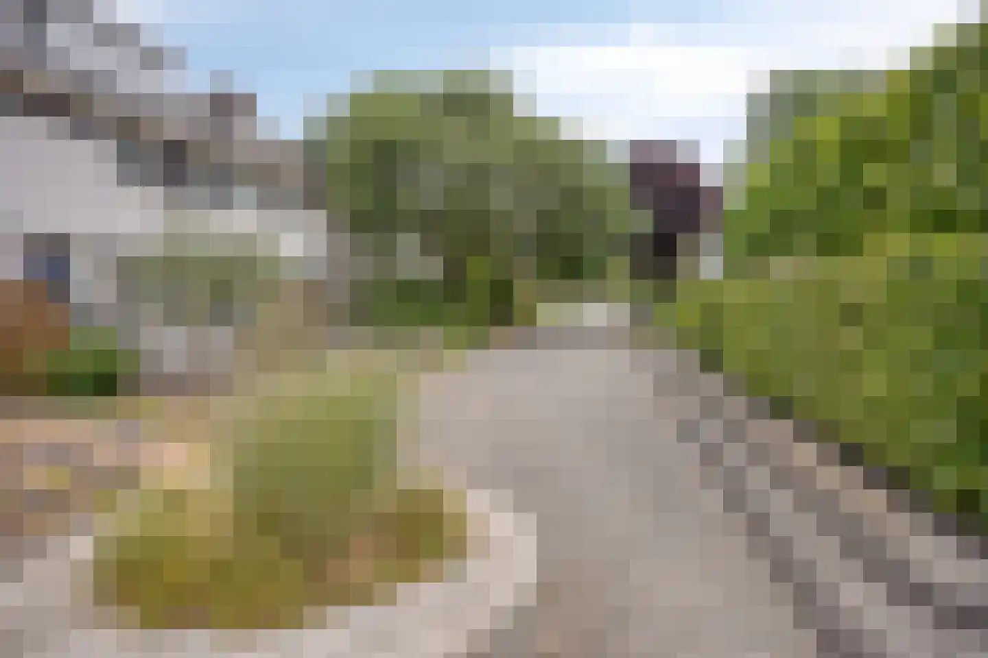 De Morinel 62 Dronten thumbnail 61