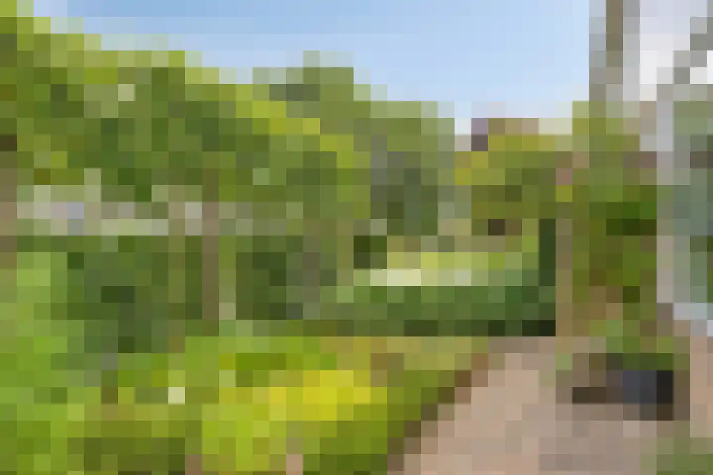 De Morinel 62 Dronten thumbnail 65
