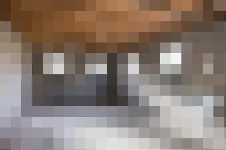 De Mors 26 Ootmarsum thumbnail 27