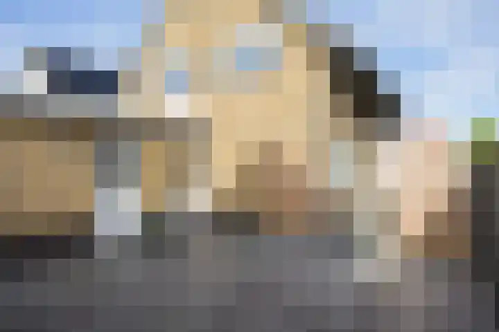 De Mors 26 Ootmarsum thumbnail 28