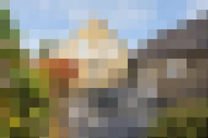 De Mors 26 Ootmarsum thumbnail 30
