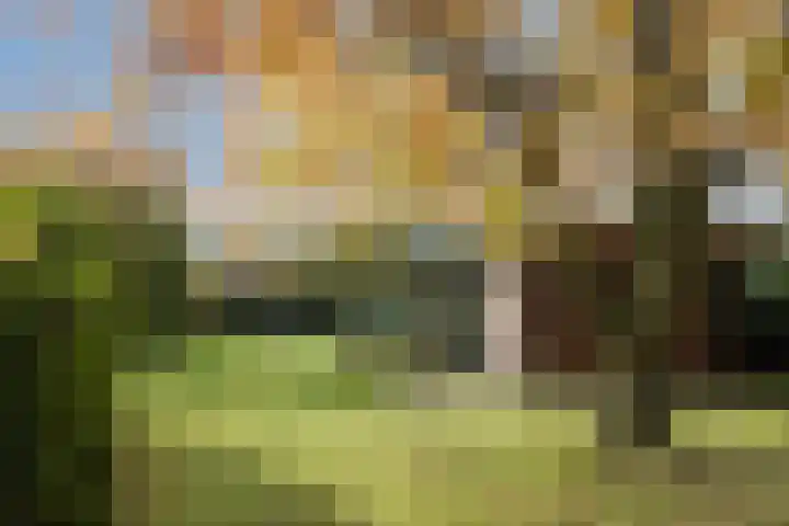 De Mors 26 Ootmarsum thumbnail 32