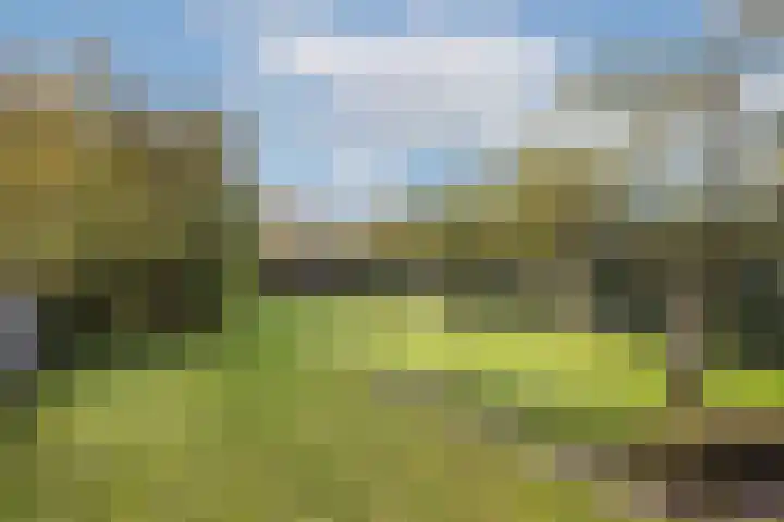 De Mors 26 Ootmarsum thumbnail 33