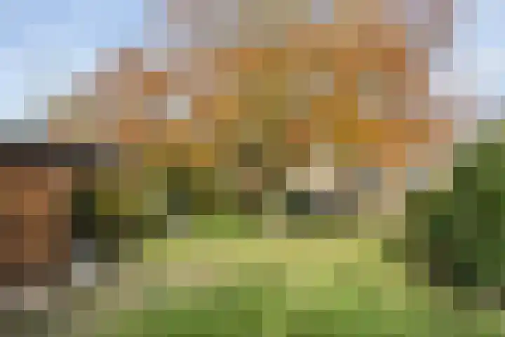 De Mors 26 Ootmarsum thumbnail 35