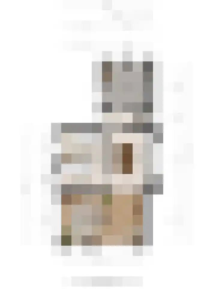 De Mors 26 Ootmarsum thumbnail 38