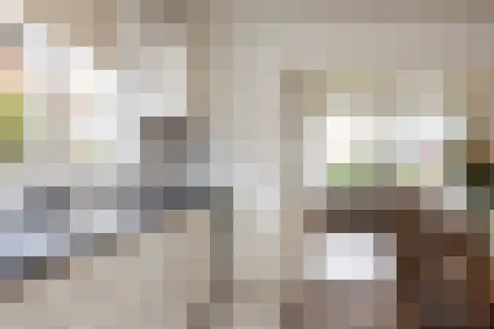 De Mors 26 Ootmarsum thumbnail 8