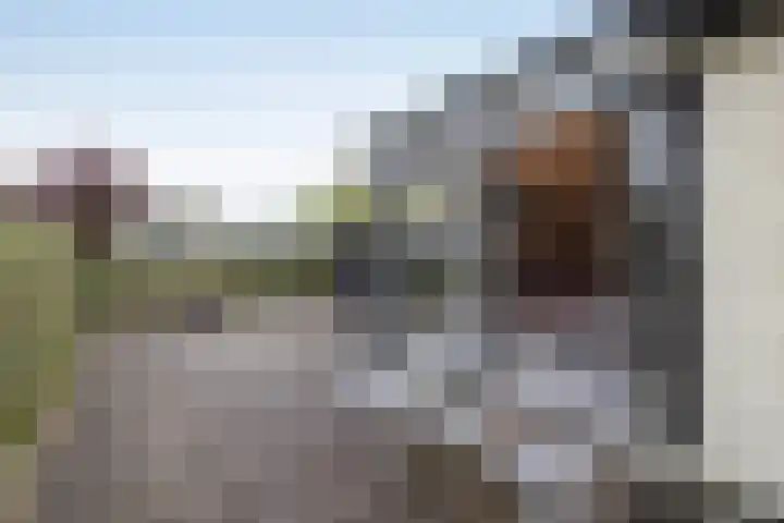 De Mors 6 C13 Delden thumbnail 11