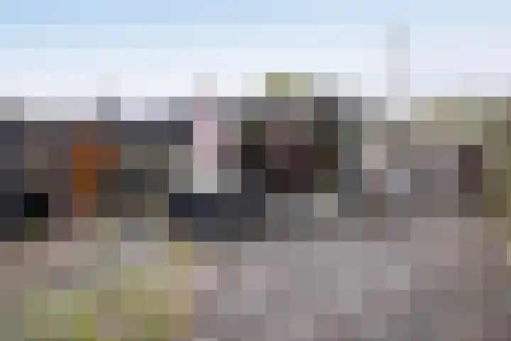 De Mors 6 C13 Delden thumbnail 12