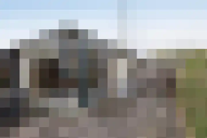 De Mors 6 C13 Delden thumbnail 15