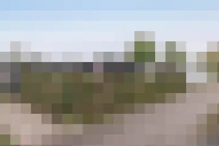 De Mors 6 C13 Delden thumbnail 16