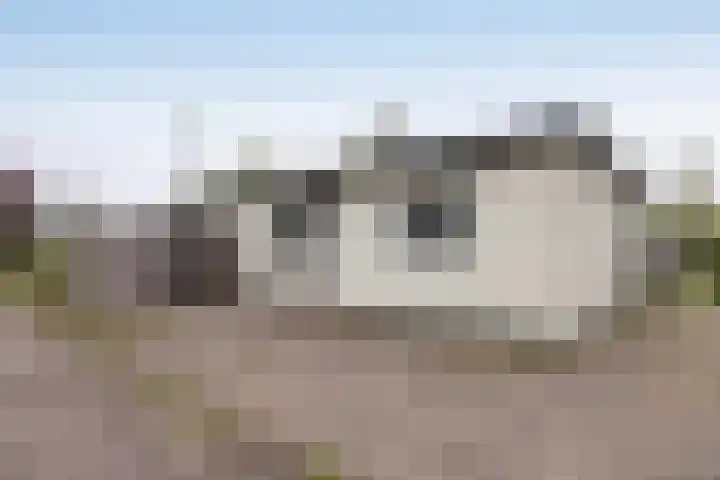 De Mors 6 C13 Delden thumbnail 17