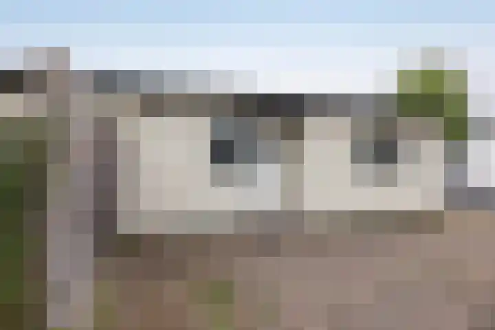 De Mors 6 C13 Delden thumbnail 18