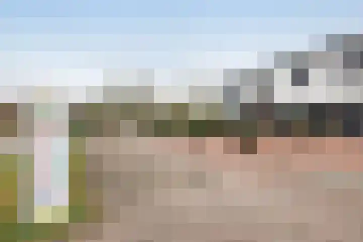 De Mors 6 C13 Delden thumbnail 19
