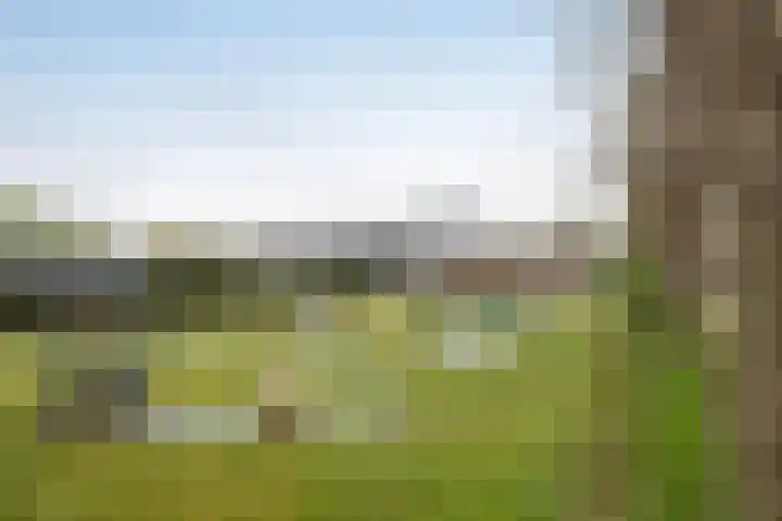 De Mors 6 C13 Delden thumbnail 21
