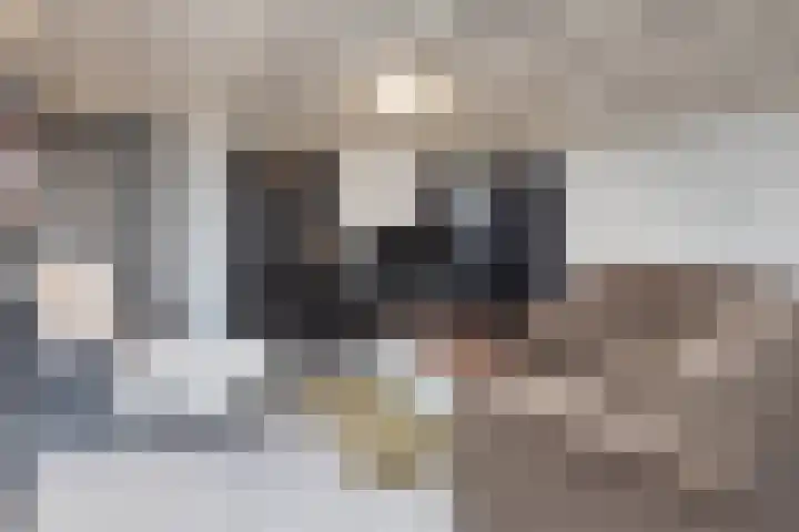 De Mors 6 C13 Delden thumbnail 4