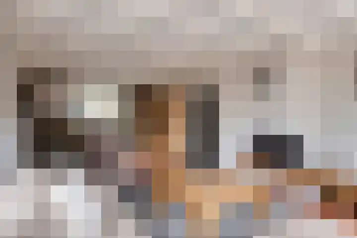 De Mortel 10 Hooge Mierde thumbnail 12