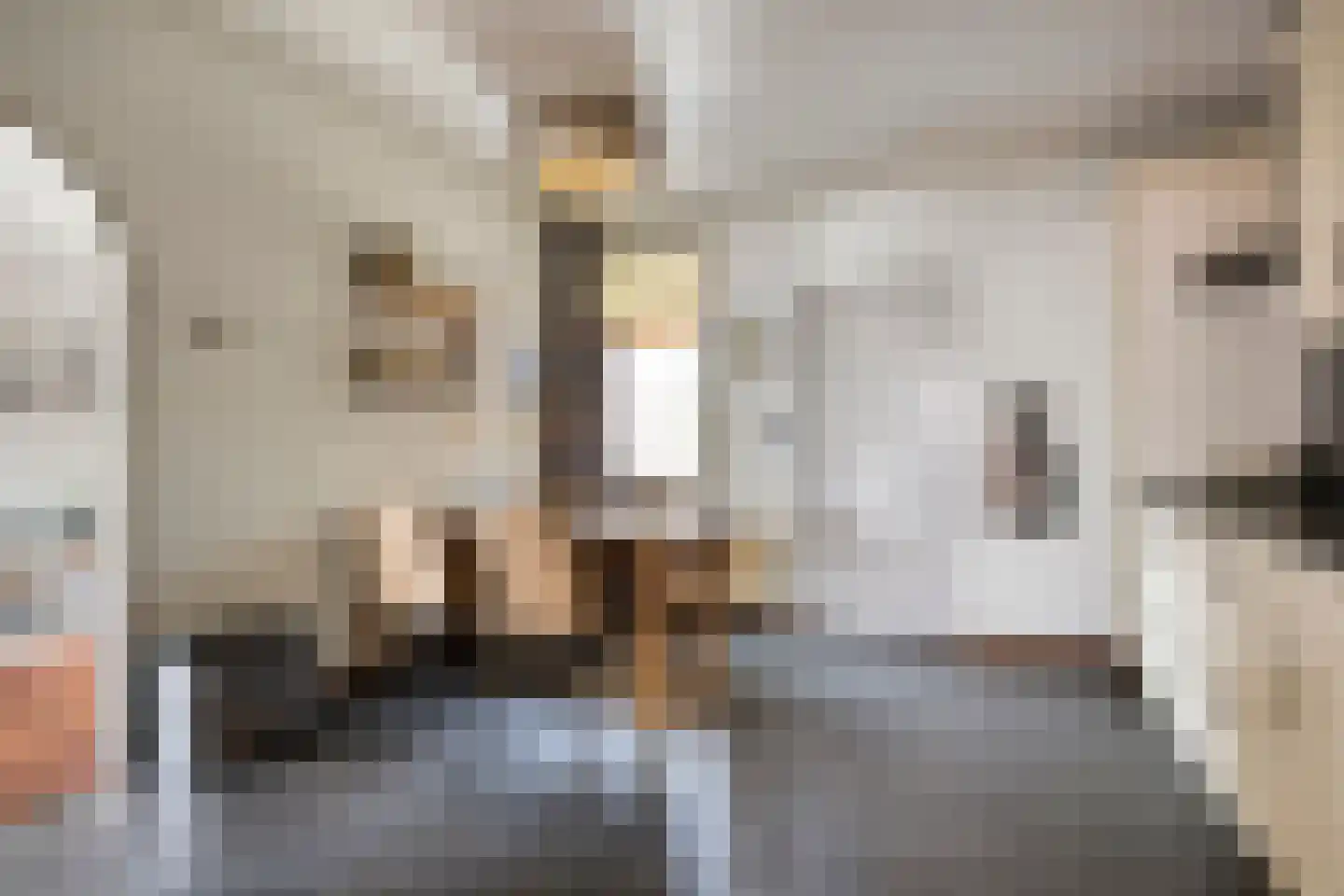 De Mortel 10 Hooge Mierde thumbnail 15