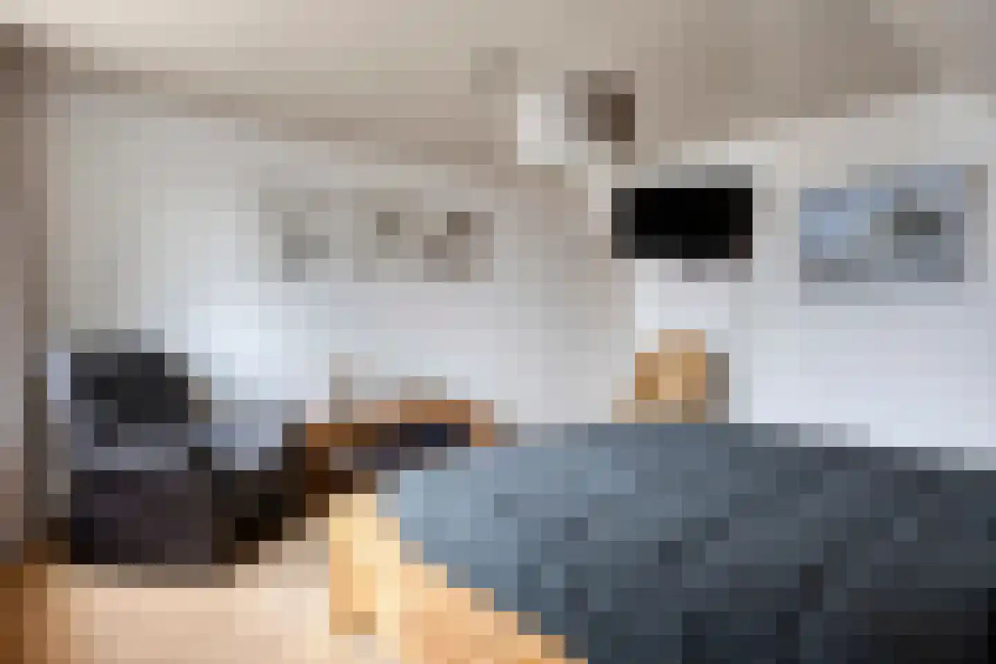 De Mortel 10 Hooge Mierde thumbnail 22