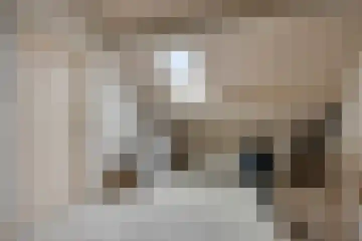 De Mortel 10 Hooge Mierde thumbnail 30