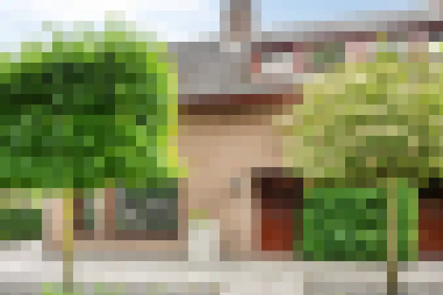 De Mortel 10 Hooge Mierde thumbnail 31