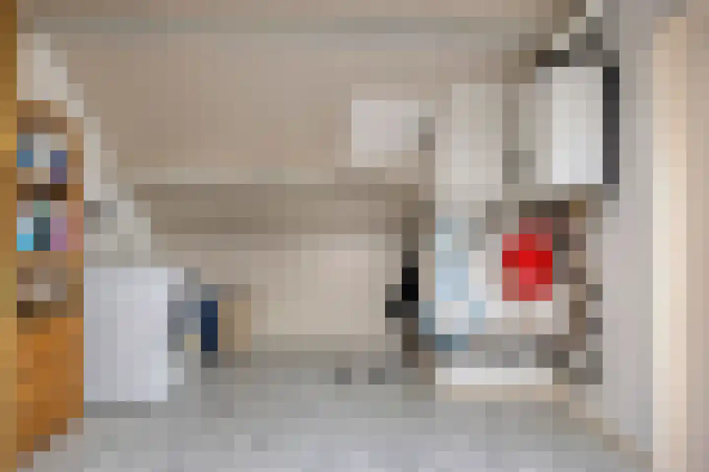 De Mortel 10 Hooge Mierde thumbnail 31