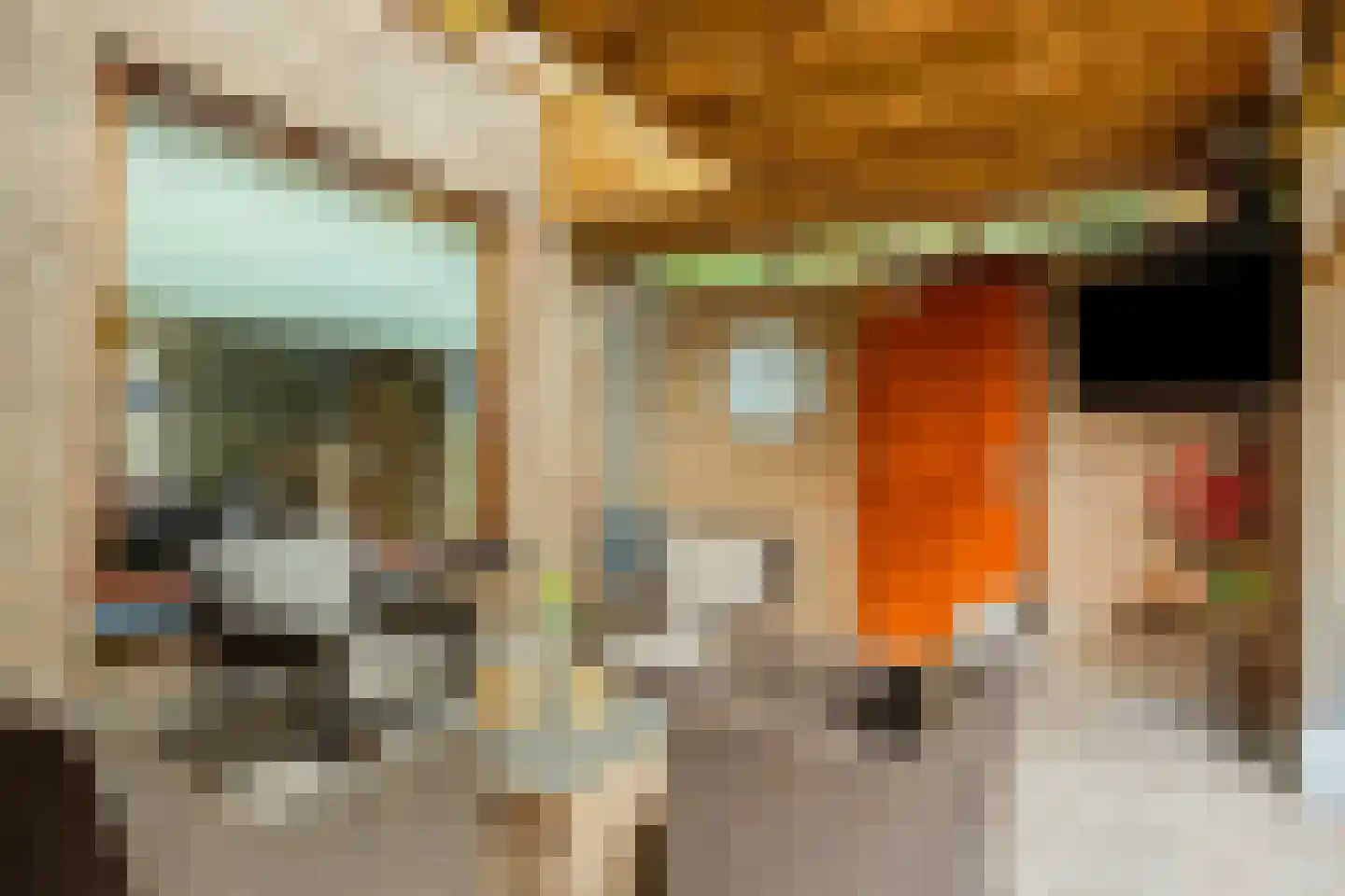 De Mortel 10 Hooge Mierde thumbnail 34